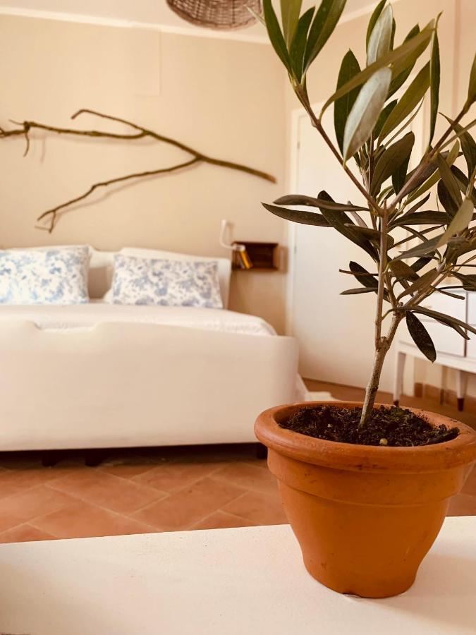 La Casa Nei Campi